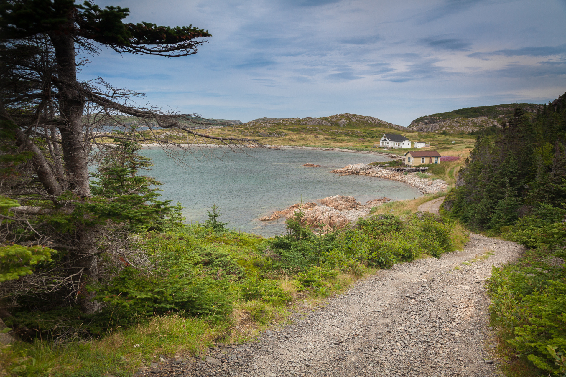 Landscapes - Newfoundland - My Way Home